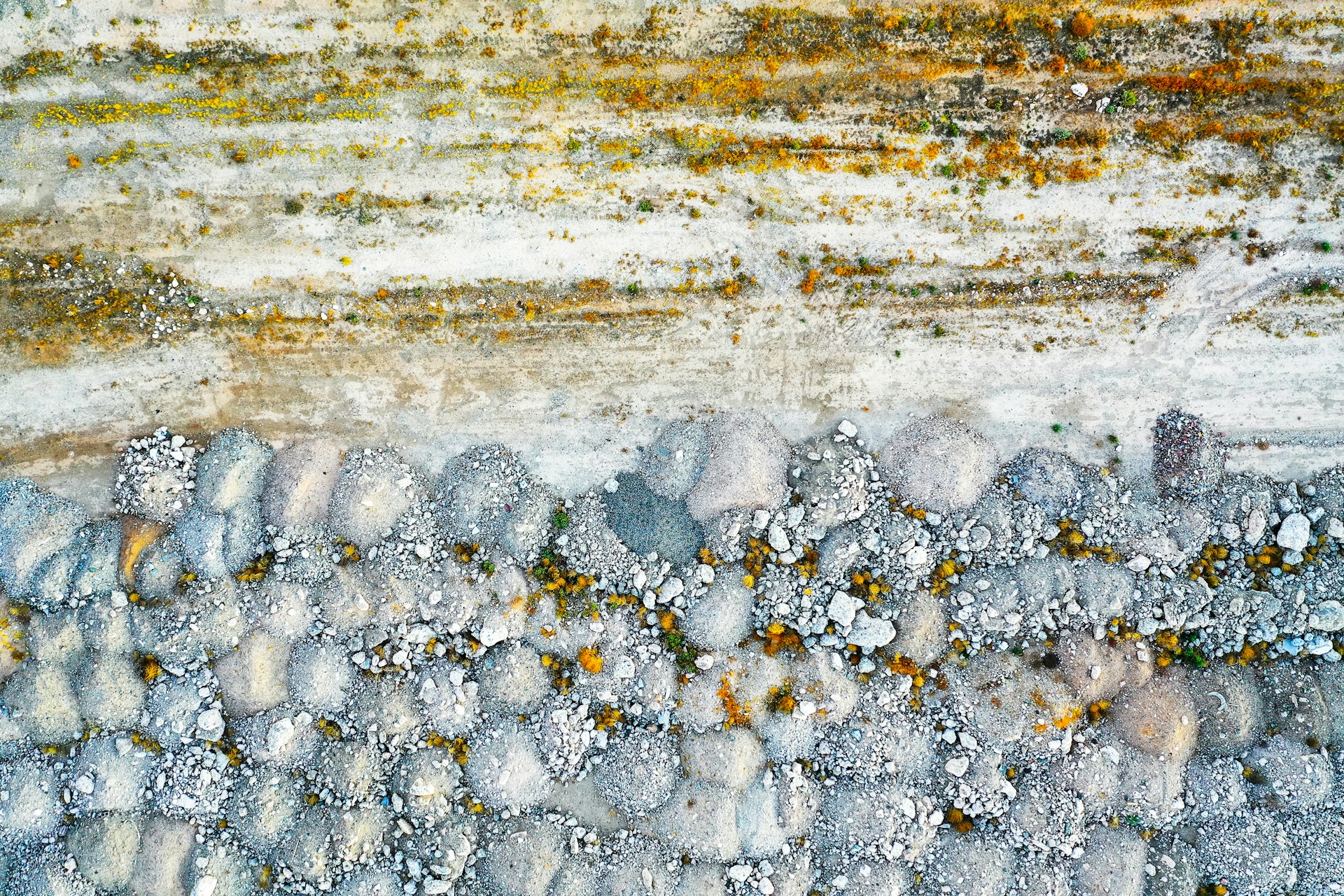 New Mold and Damp Rules: What Renters Should Know